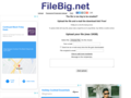 thumbnail.jpg?domain=FileBig.net